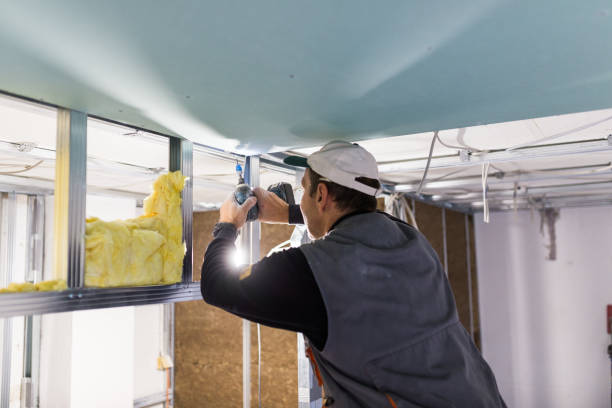 Best DIY Insulation Kits and Guidance in Rome City, IN