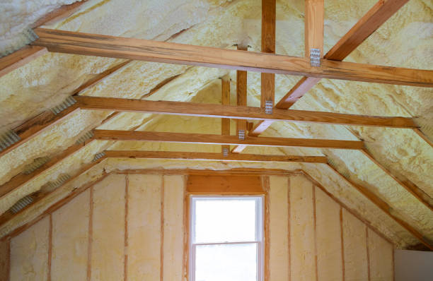 Best Geographic-Specific Insulation Services in Rome City, IN